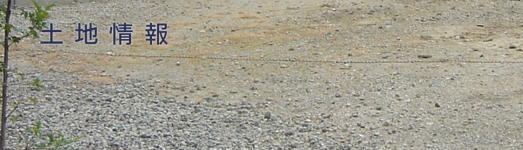 �C�[�O���n�E�X �y�n���